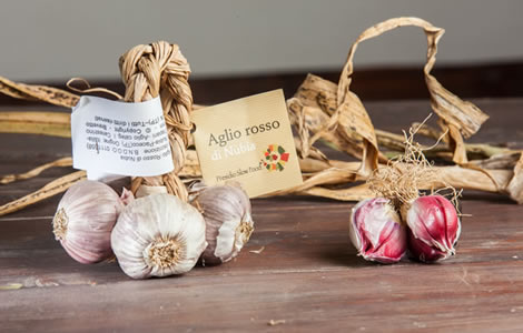 Aglio Rosso di Nubia - Trapani