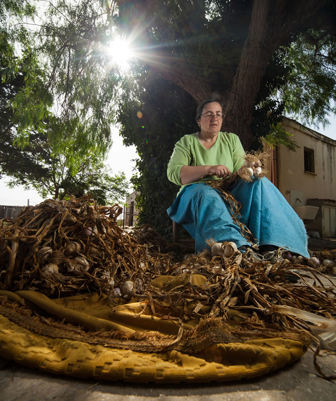 Produttori Aglio Rosso di Nubia