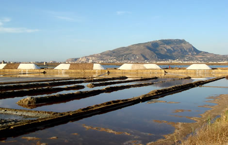 Aglio Rosso di Nubia nella Riserva delle Saline